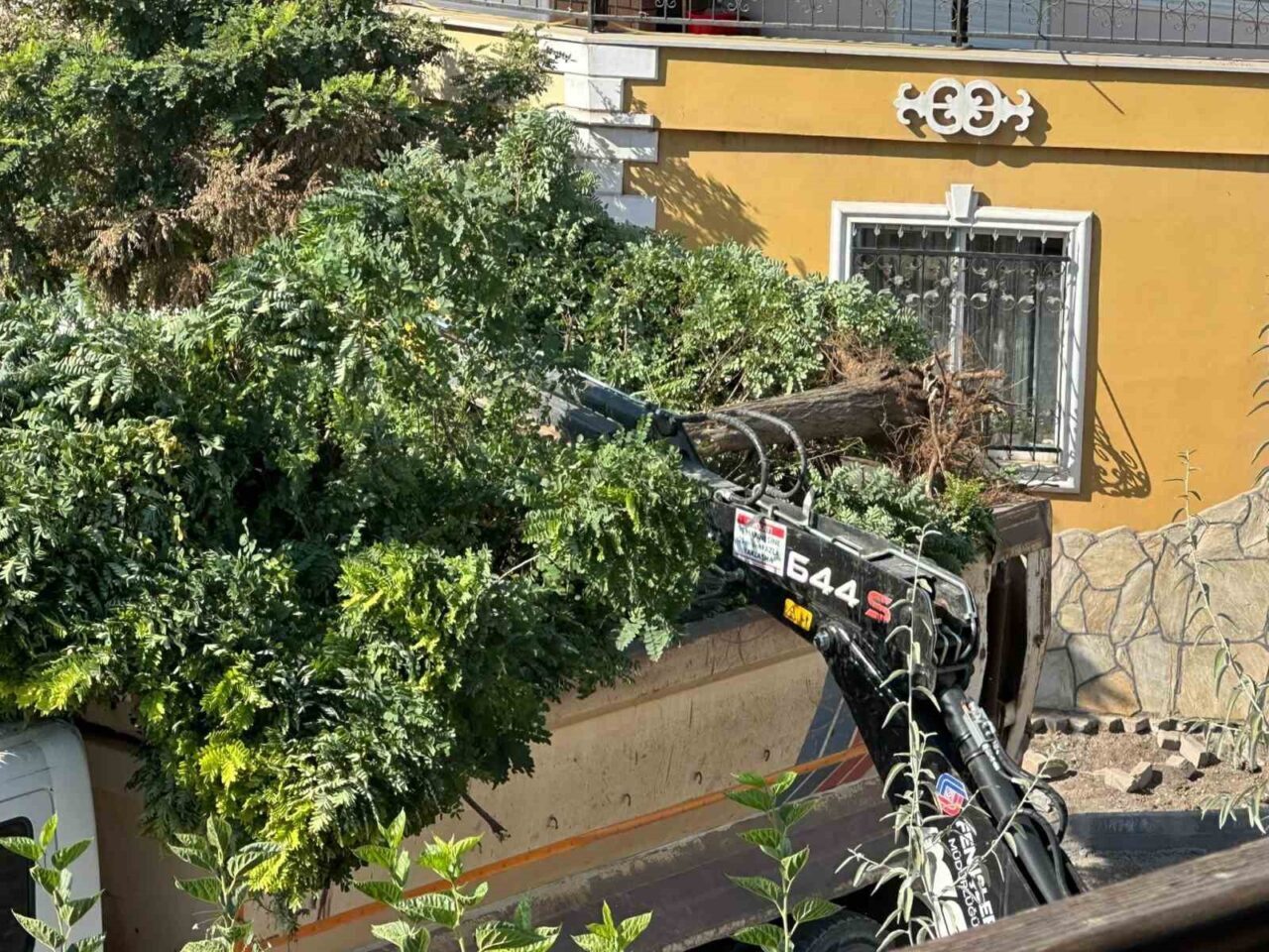 Sındırgı’da yol yapım çalışmaları sırasında ağaçlar söküldü 4 Bülten Medya -