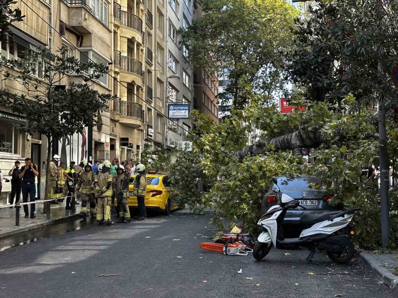 Şişli’de araçların üzerine devrilen çınar ağacı kaldırıldı 14 Bülten Medya -
