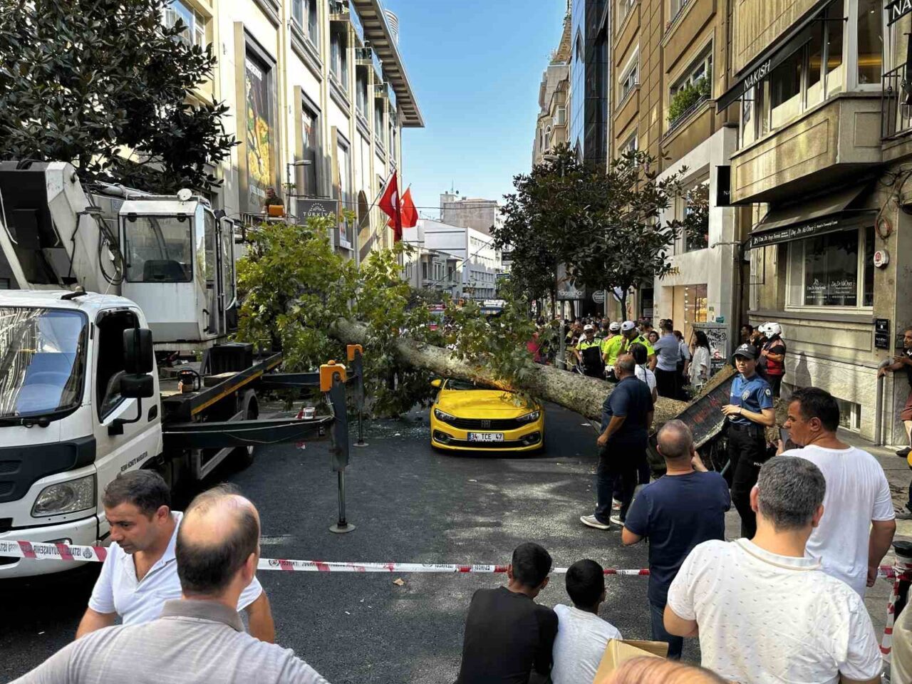 Şişli’de araçların üzerine devrilen çınar ağacı kaldırıldı 15 Bülten Medya -