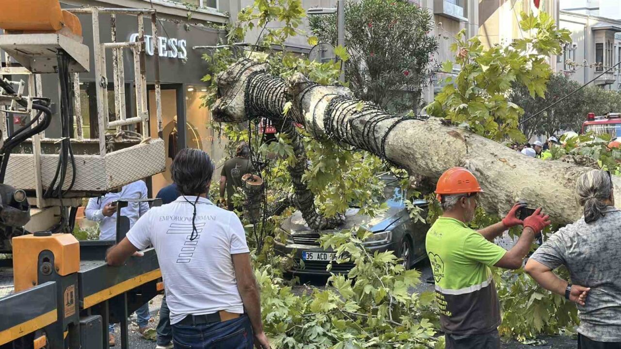 Şişli’de araçların üzerine devrilen çınar ağacı kaldırıldı 16 Bülten Medya -
