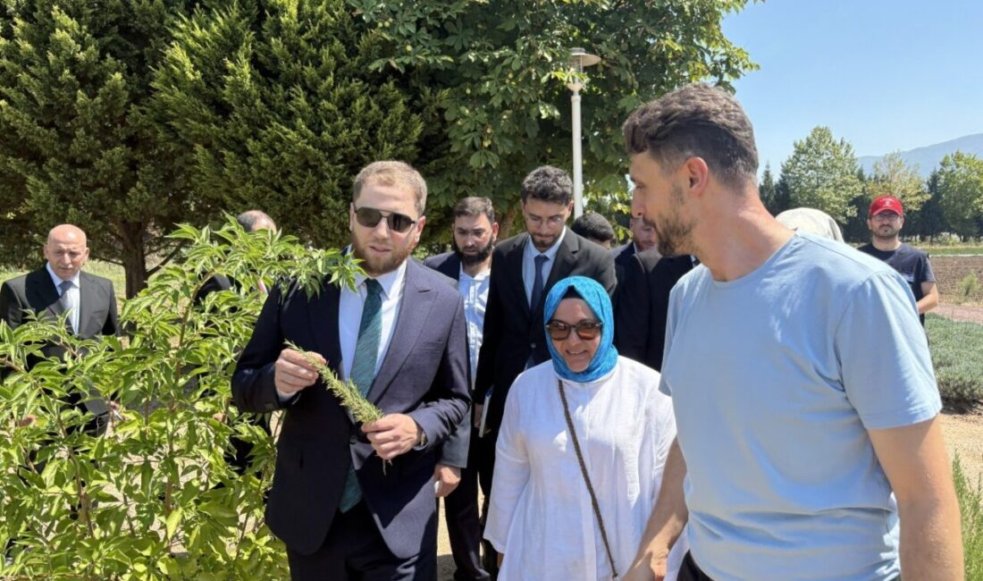 Suriye Hama heyetinden Kocaeli’deki tarımsal projelere inceleme Suriye’nin Hama Valisi Abdurrahman es-Seheyen ve beraberindeki heyet, Kocaeli Büyükşehir