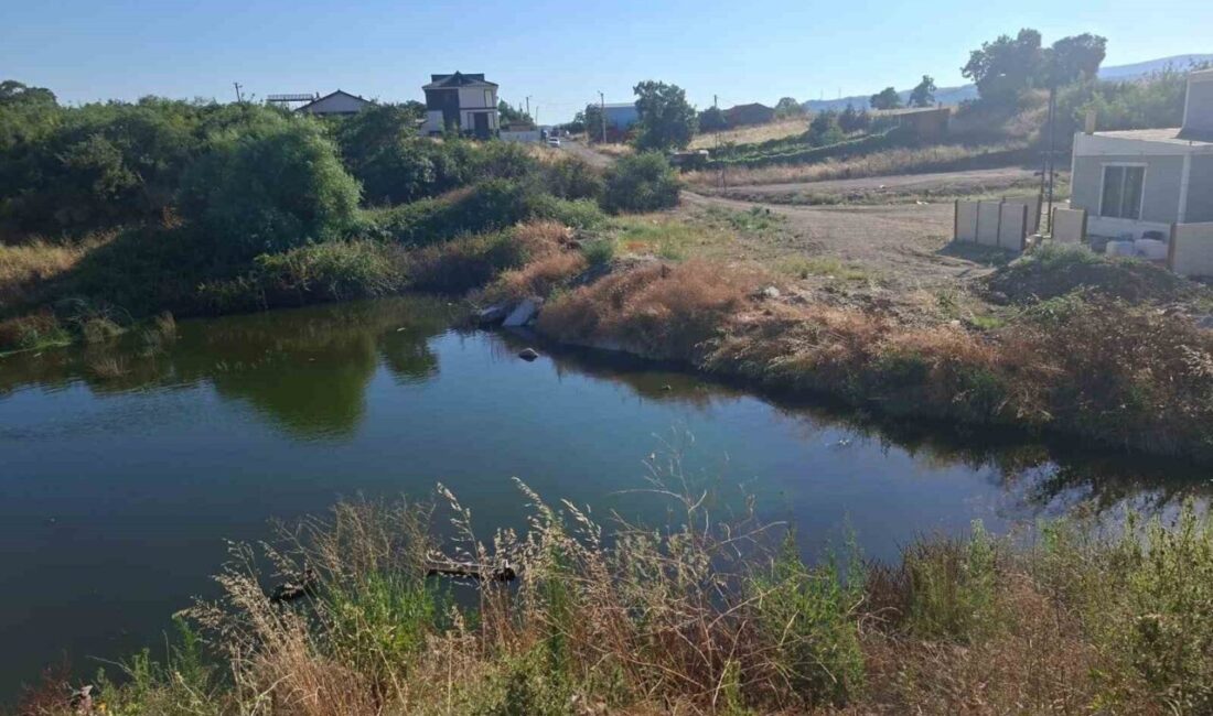 Balıkesir’in Susurluk ilçesi Karşıyaka Mahallesi’nde BASKİ’ye ait atık su terfi