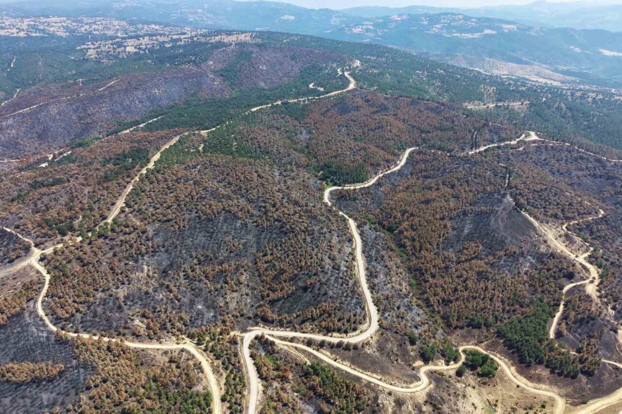 Susurluk’ta yangından etkilenen ormanlık alan yeniden yeşillendirilecek 10 Bülten Medya -