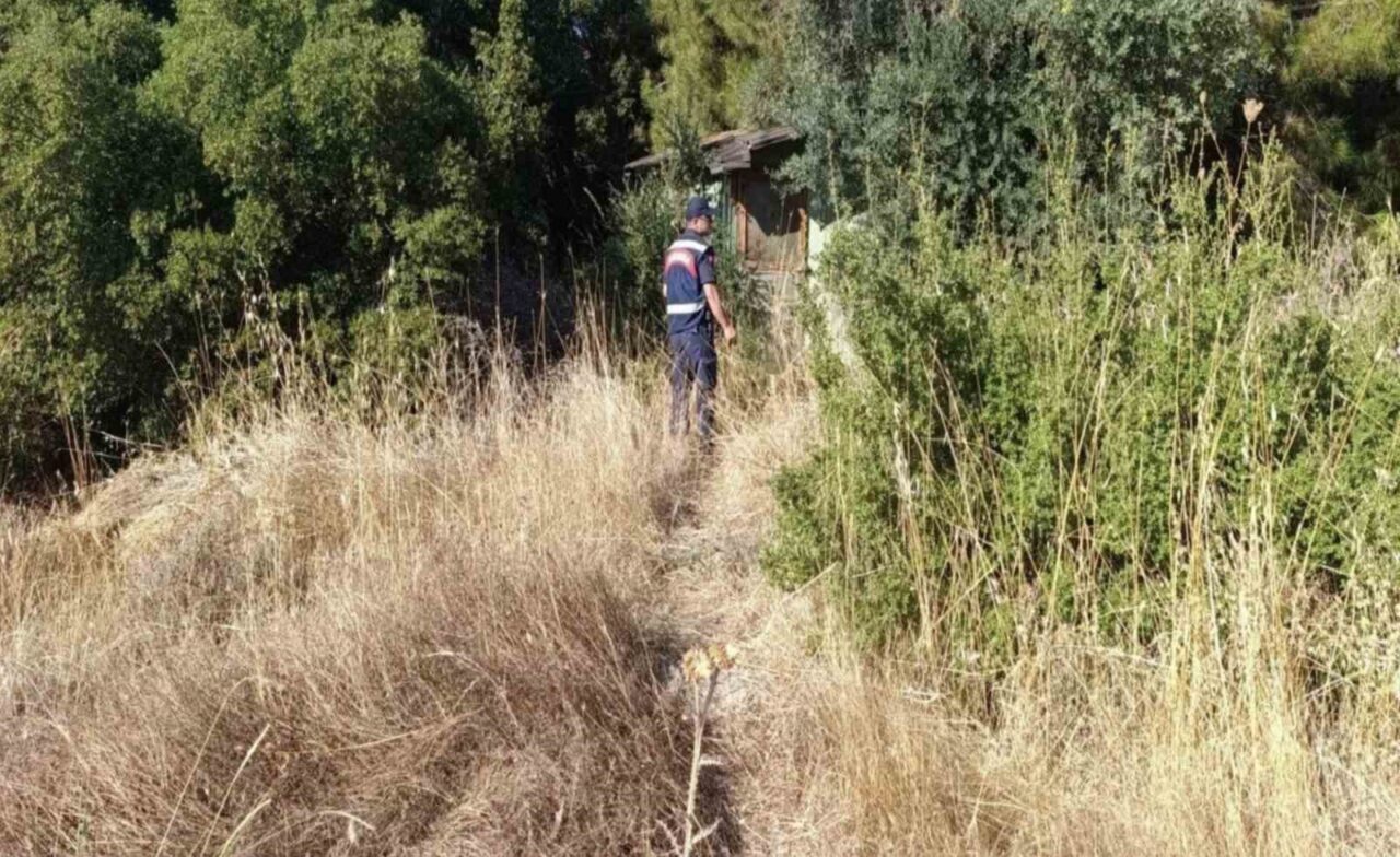 Tarihi Alan’da jandarma ekiplerince denetim 16 Bülten Medya -