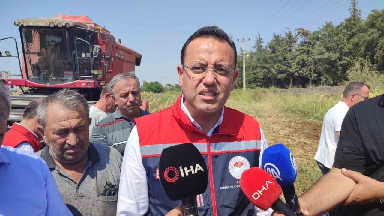 Bülten Medya -
