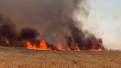 Tekirdağ Büyükşehir Belediyesi İtfaiye Dairesi Başkanlığı ekipleri, 2026 yılının ilk