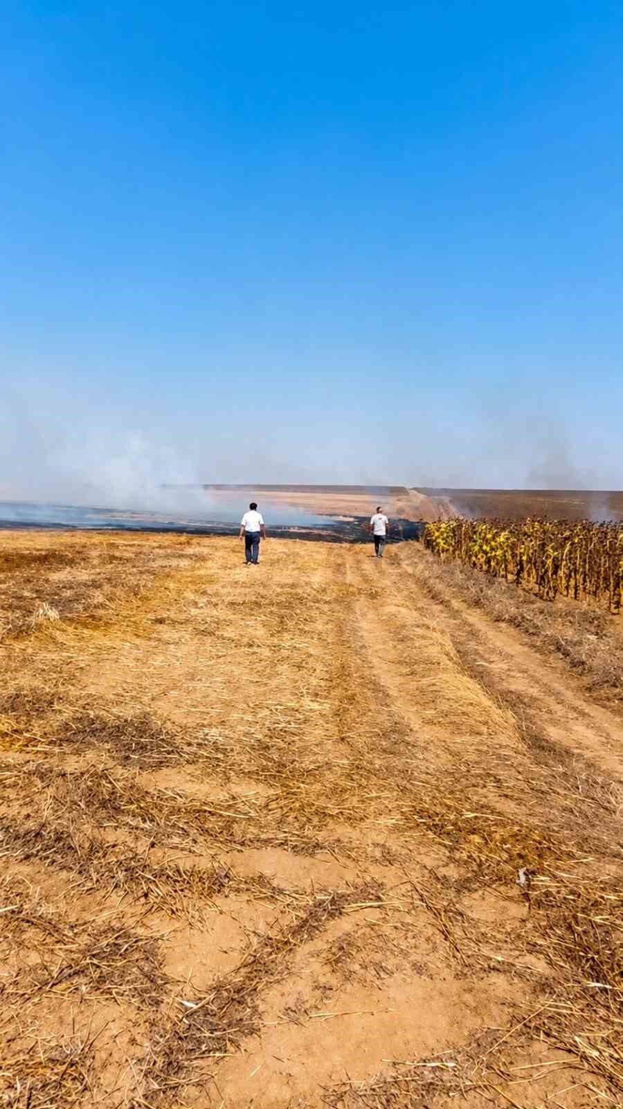 Tekirdağ’da anız yangını 11 Bülten Medya -