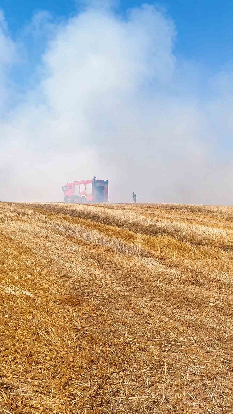 Tekirdağ’da anız yangını 10 Bülten Medya -