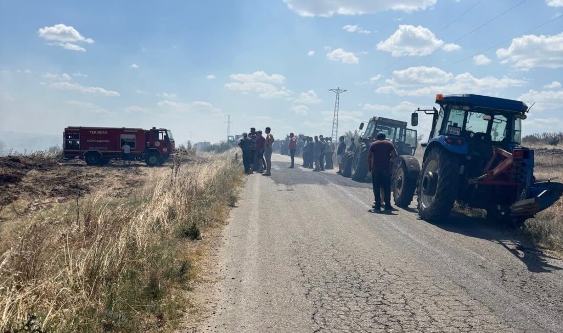 Tekirdağ’da anız yangınında 150 dönüm alan zarar gördü Tekirdağ’ın Hayrabolu ilçesinde çıkan anız yangınında yaklaşık 150 dönüm tarım