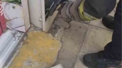 Tekirdağ Çorlu’da doğalgaz kutusuna giren yılan kedi tarafından fark edilmesi