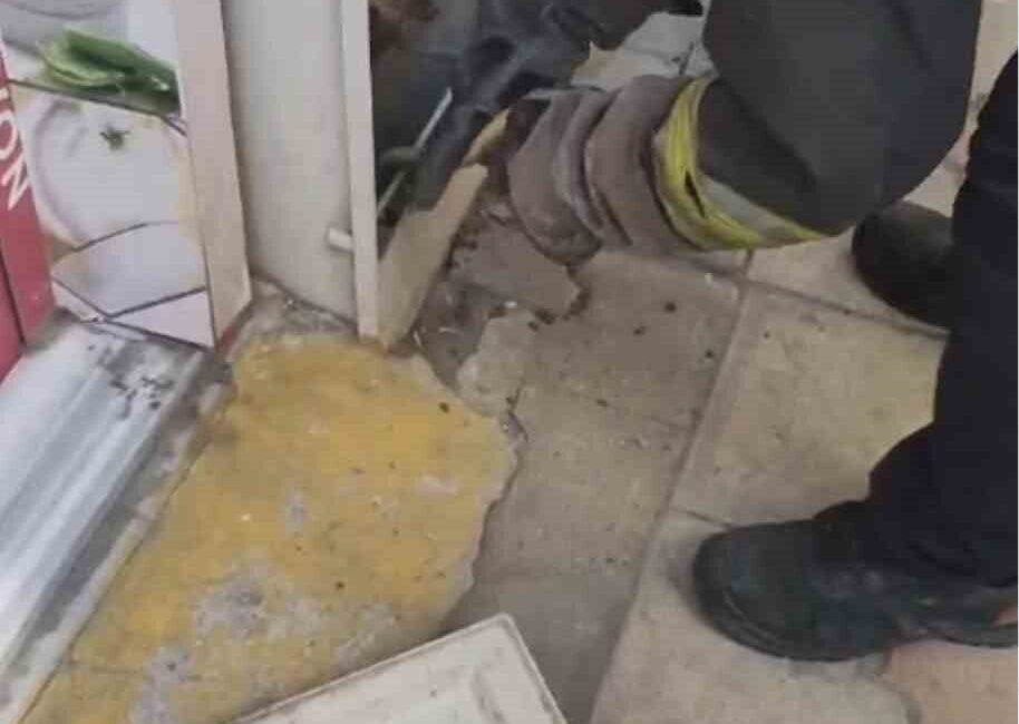 Tekirdağ Çorlu’da doğalgaz kutusuna giren yılan kedi tarafından fark edilmesi