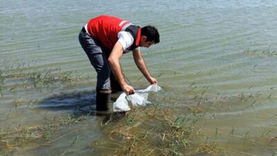 Tekirdağ’ın Hayrabolu ilçesinde su kaynaklarındaki balık varlığının artırılması amacıyla göletlere