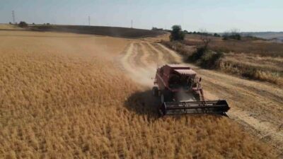 Tekirdağ’da sözleşmeli üretim modeliyle yetiştirilen sertifikalı nohut tohumluğu hasadı gerçekleştirildi.