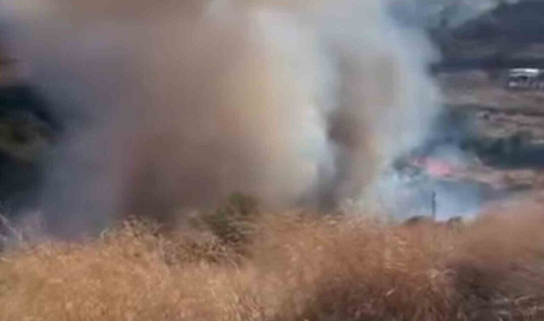 Tekirdağ’da yangında 80 dekar alan zarar gördü Tekirdağ’ın Süleymanpaşa ilçesinde ağaçlık alanda çıkan yangın, itfaiye ve orman