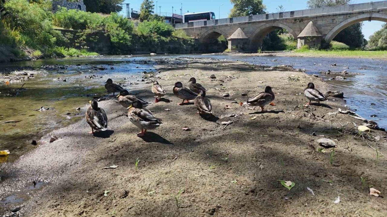 Tunca Nehri’nde kuraklık alarmı 24 Bülten Medya -