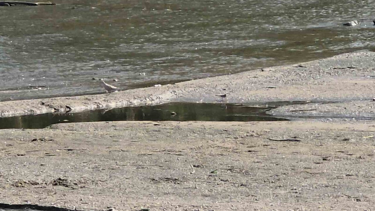 Tunca Nehri’nde su çekildi, kum adacıkları oluştu 10 Bülten Medya -