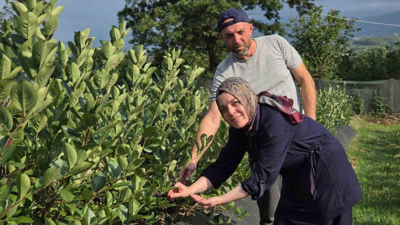 Bülten Medya -
