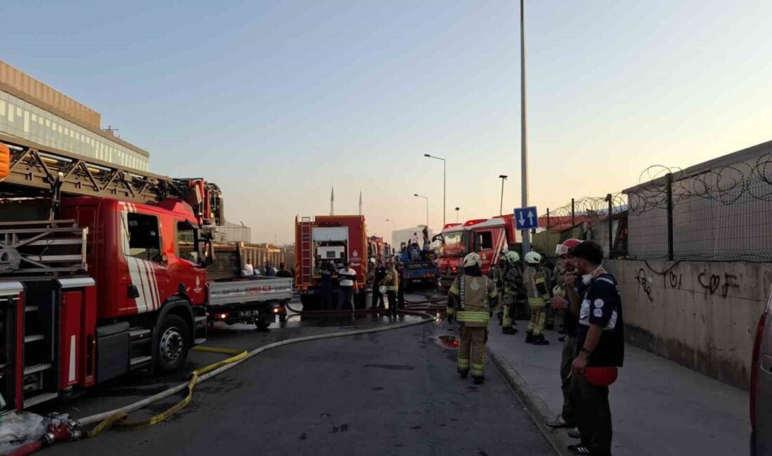 Tuzla İçmeler’de otluk alanda çıkan ve depolama alanındaki teknelere sirayet