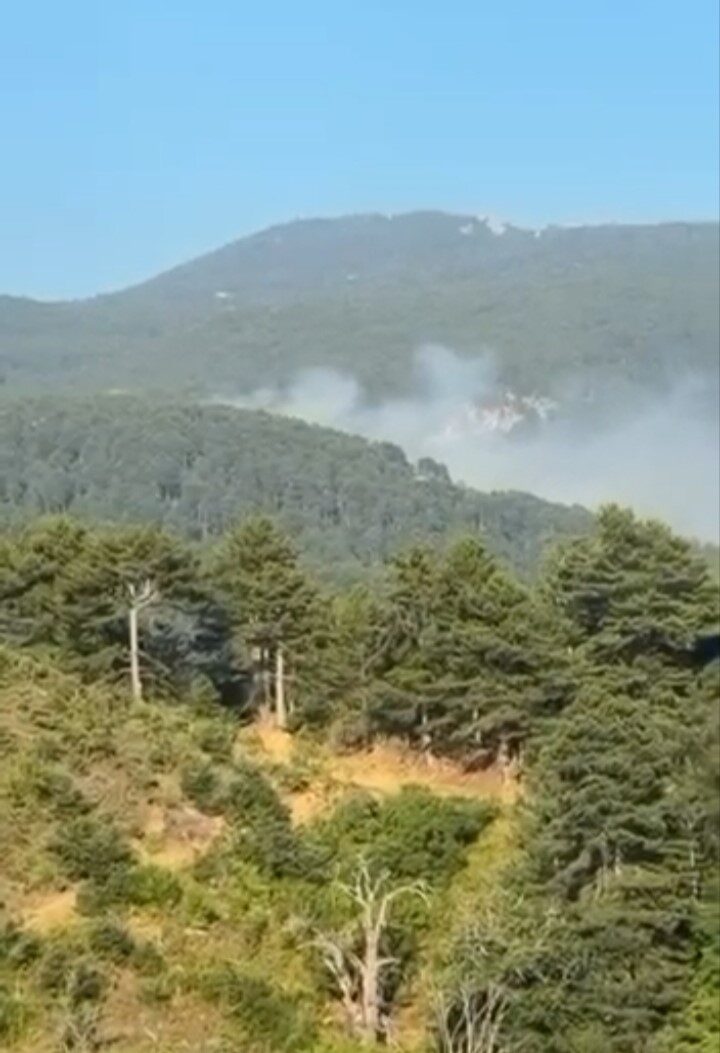 Uludağ’da orman yangını! Havadan ve karadan müdahale 2 Bülten Medya -