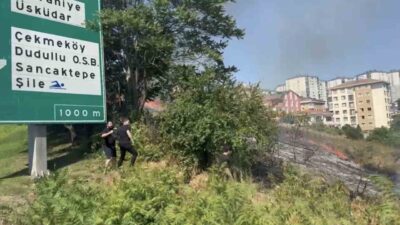 Ümraniye TEM Otoyolu kenarındaki otluk alanda yangın meydana geldi. Yangın