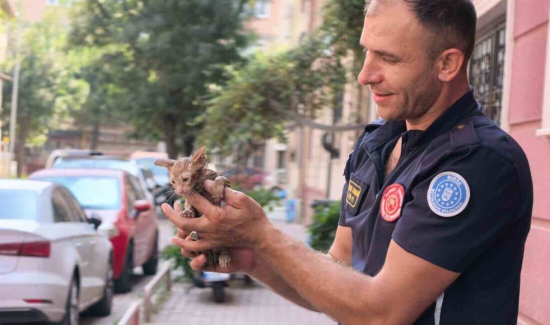 Giderden gelen ses gerçeği ortaya çıkardı! Bursa’nın İnegöl ilçesinde apartmanın yağmur suyu gider borusuna sıkışan yavru