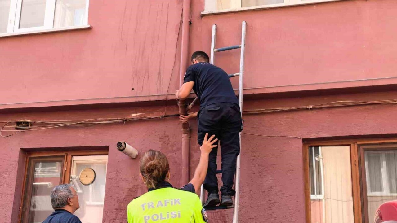 Giderden gelen ses gerçeği ortaya çıkardı! 3 Bülten Medya -