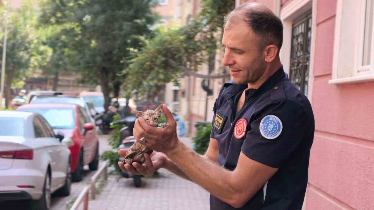 Giderden gelen ses gerçeği ortaya çıkardı! 1 Bülten Medya -