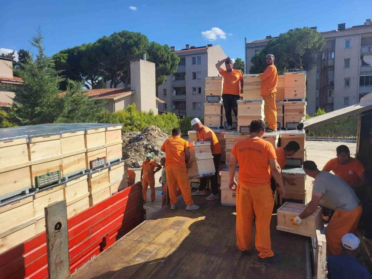 Yangından etkilenen arıcılara 2 bin kovan dağıtıldı 21 Bülten Medya -