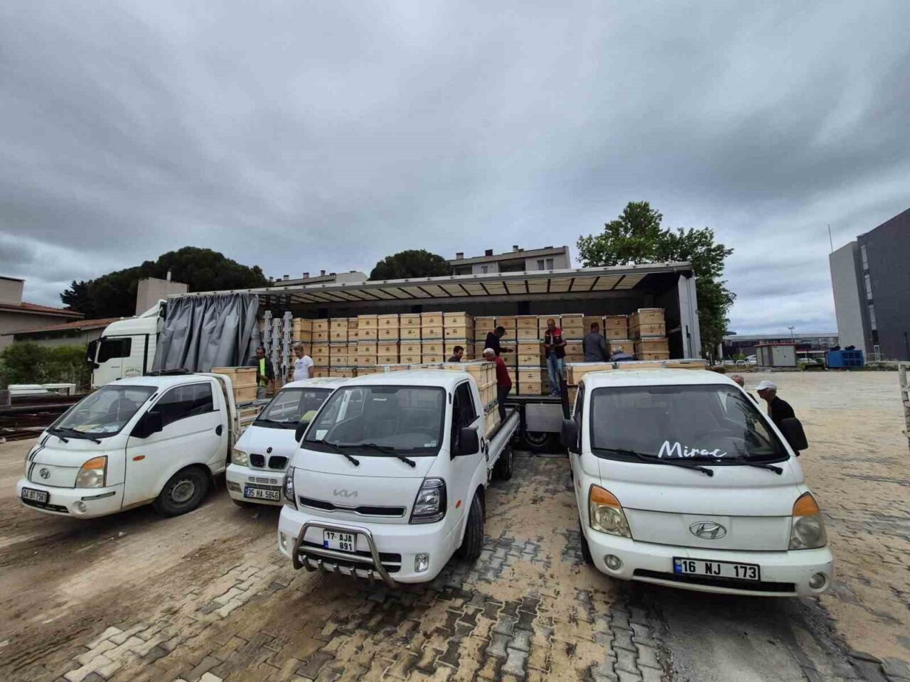 Yangından etkilenen arıcılara 2 bin kovan dağıtıldı 19 Bülten Medya -