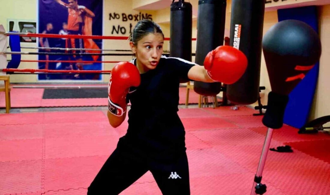 Bilecik’te Yaz Spor Okulları’nda boks eğitimleri yoğun ilgi görüyor. Gençlik