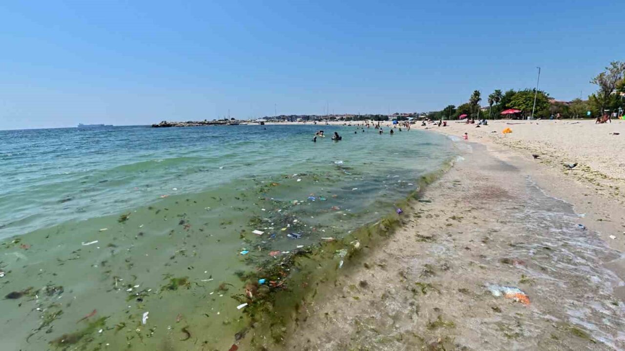Yeşilköy sahilinde kirlilik alarmı 31 Bülten Medya -