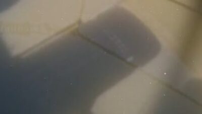 Yeşilköy Balıkçı Barınağı’ndaki yağmur suyu hattından Marmara Denizi’ne kaçak atık
