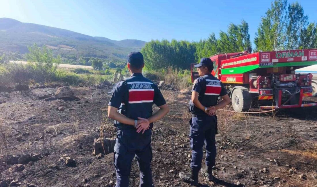 Bilecik’in Bayırköy beldesinde Yüksek Hızlı Tren (YHT) hattı yakınında çıkan