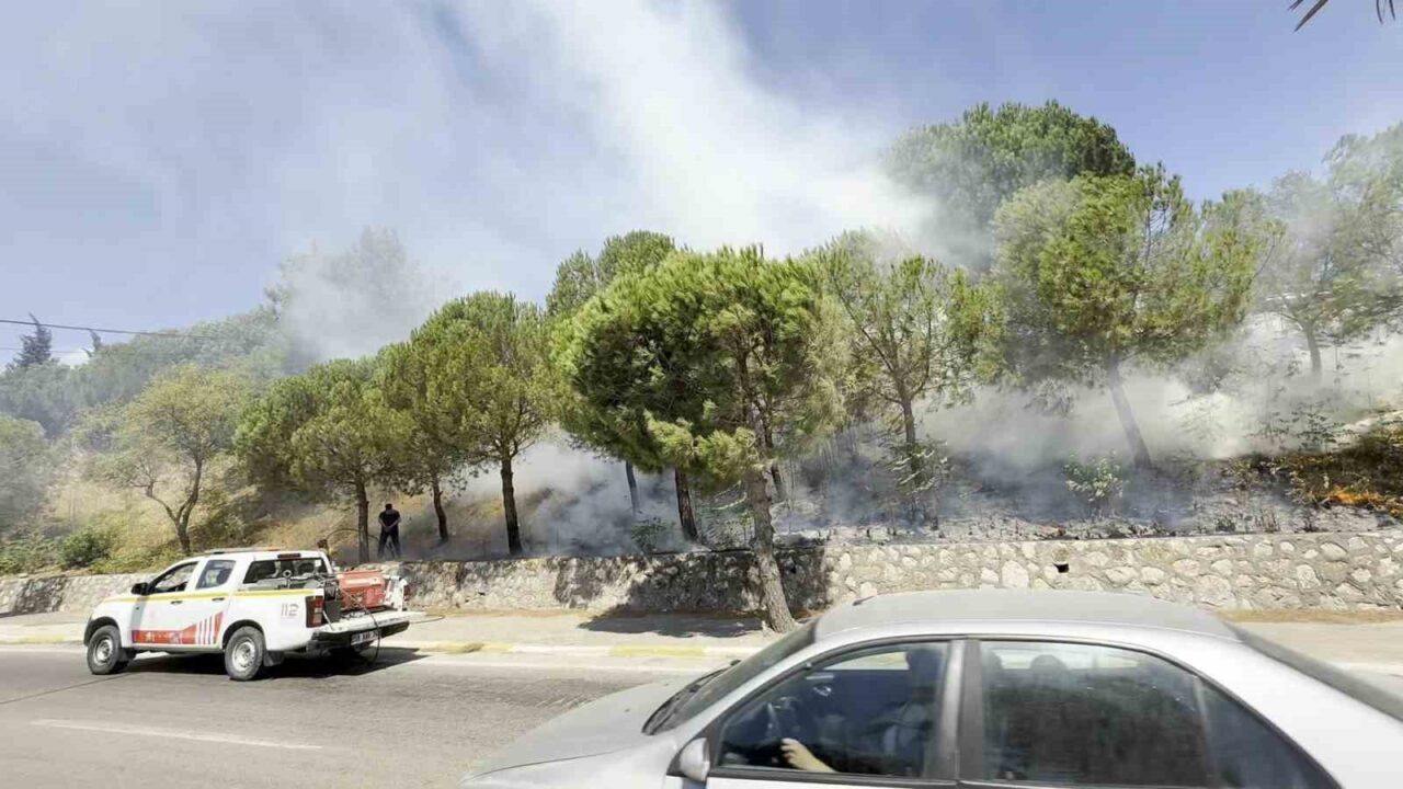 Erdek’te otluk alanda yangın! 2 Bülten Medya -
