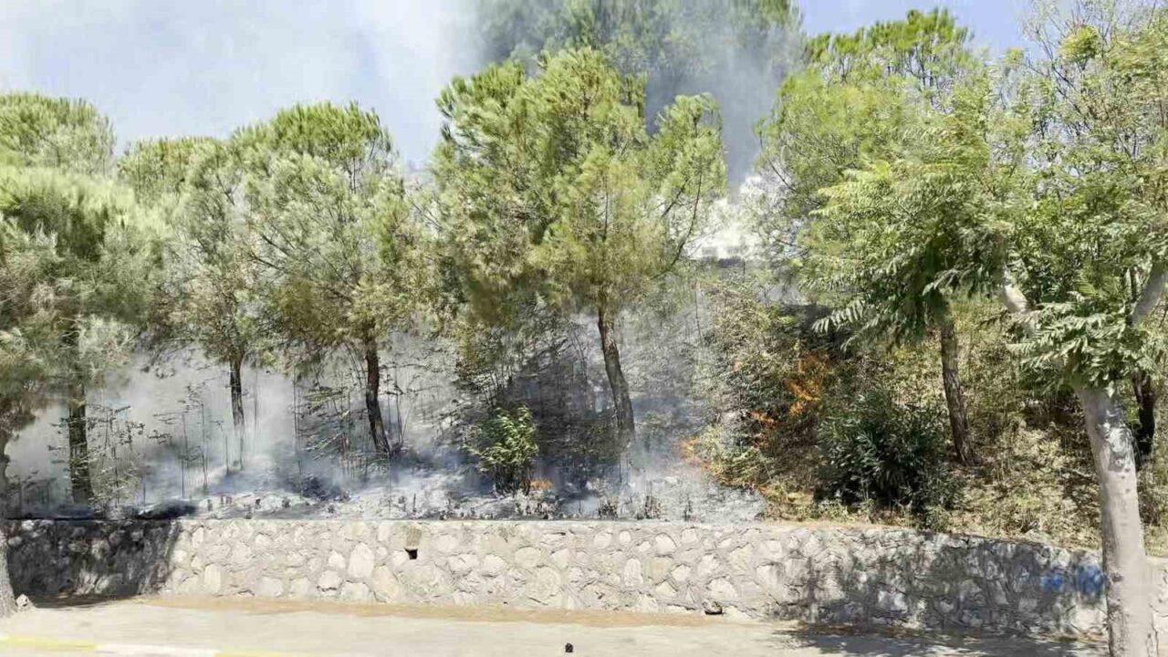 Erdek’te otluk alanda yangın! 1 Bülten Medya -