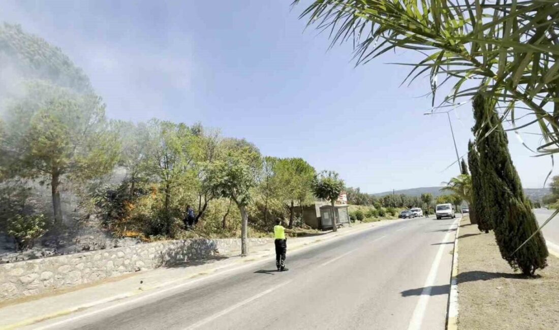 Erdek’te otluk alanda yangın! Balıkesir’in Erdek ilçesinde yol kenarındaki otluk alanda çıkan yangın, alevlerin