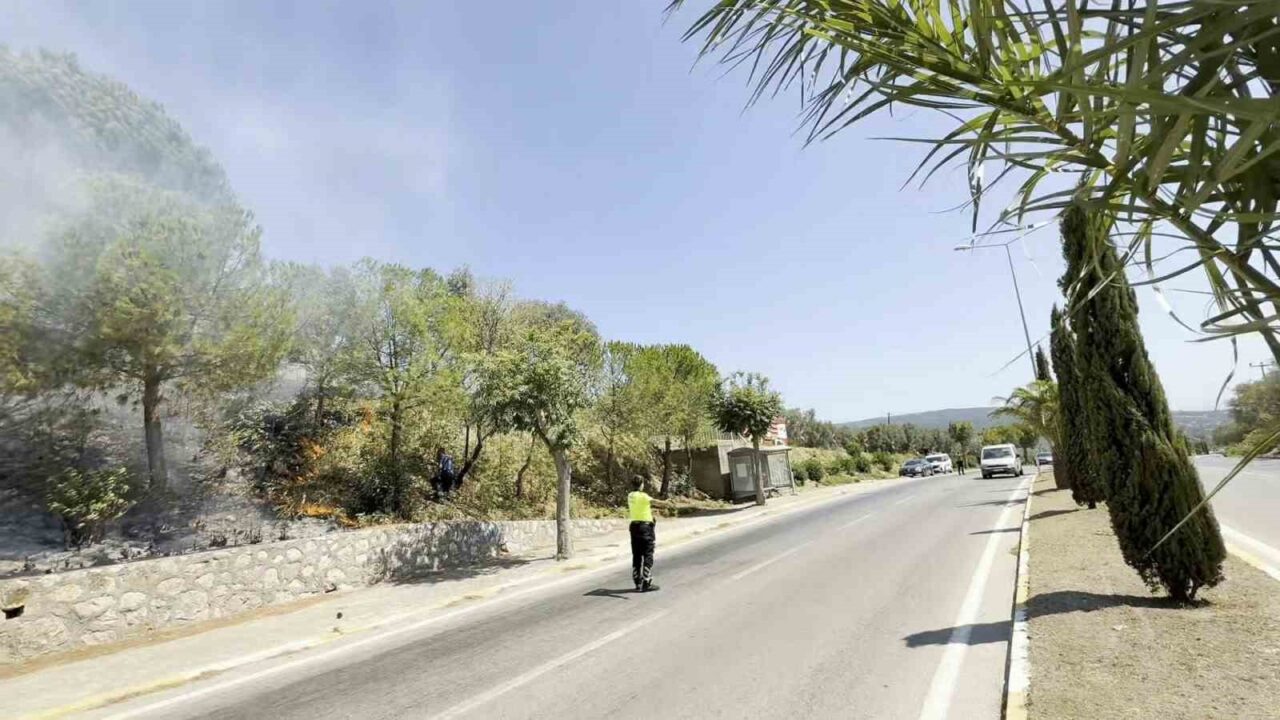 Balıkesir’in Erdek ilçesinde yol kenarındaki otluk alanda çıkan yangın, alevlerin