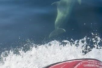 Tekirdağ’ın Süleymanpaşa ilçesi açıklarında Marmara Denizi’nde jet ski ile gezintiye