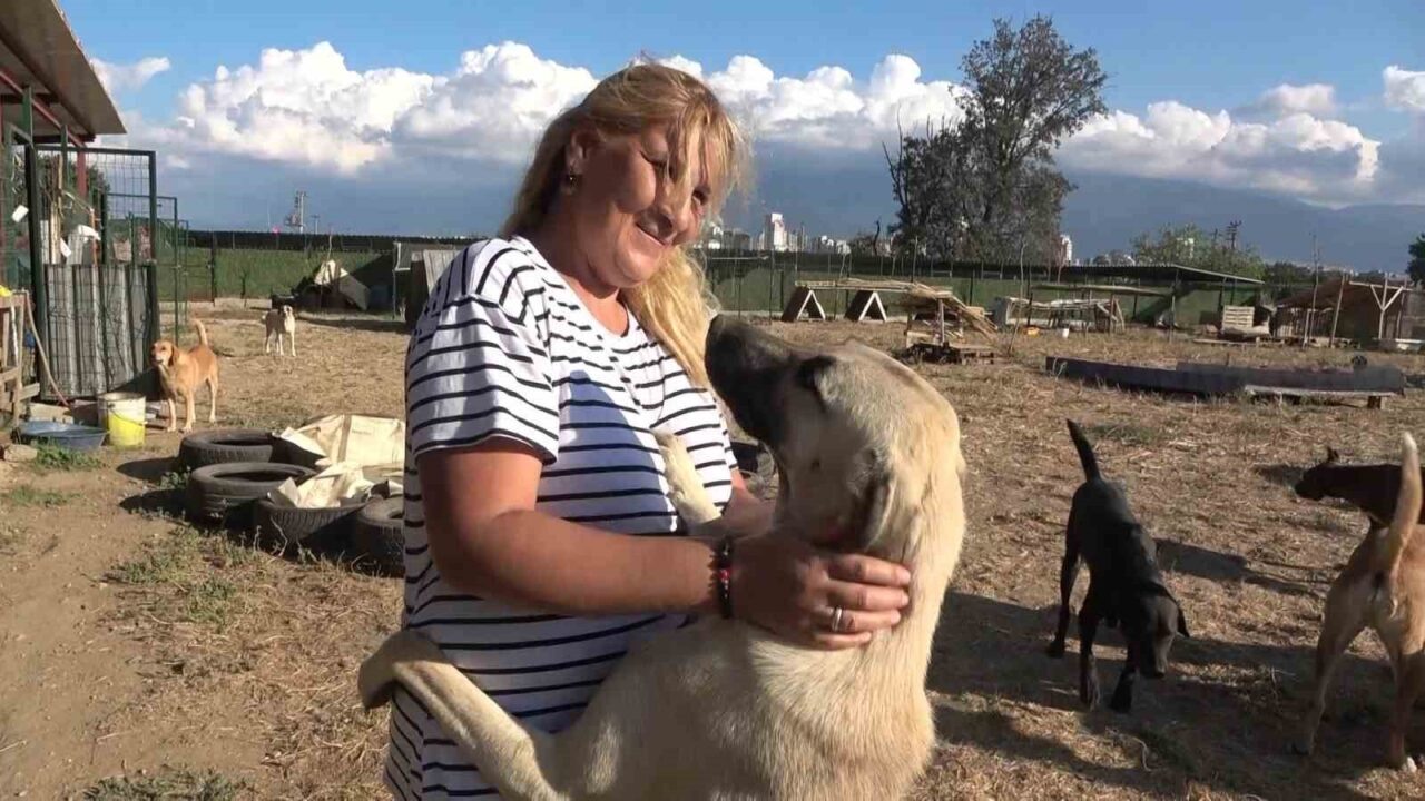 18 yıllık gönüllülük, 4,5 dönümlük yaşam evine dönüştü...130 cana yuva oldular 26 Bülten Medya -
