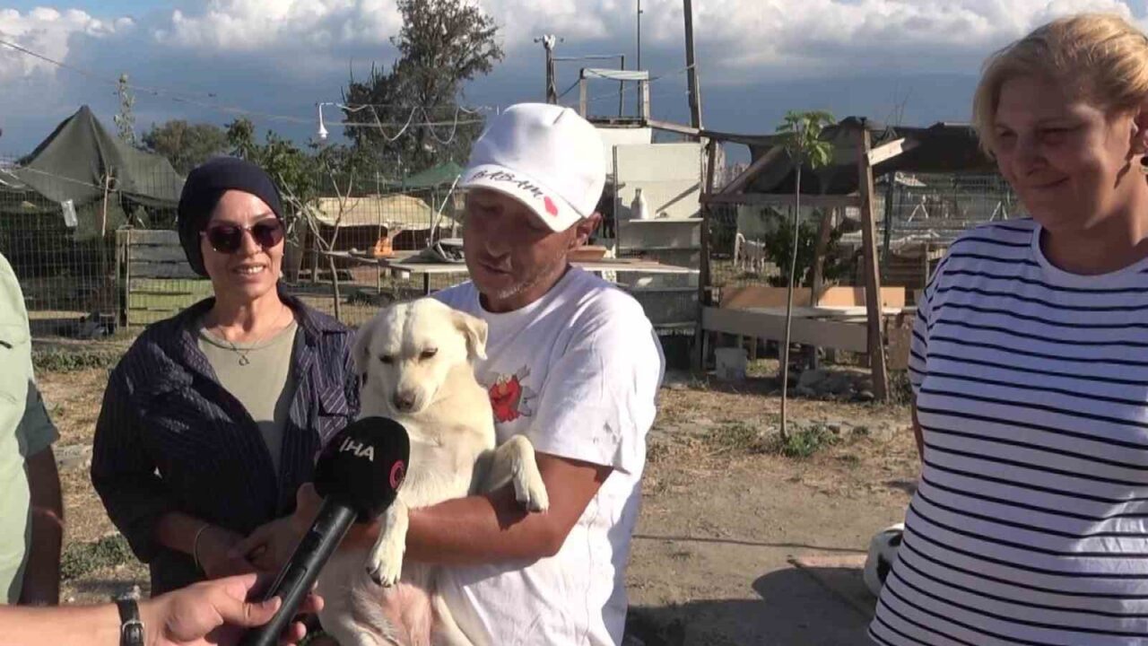 18 yıllık gönüllülük, 4,5 dönümlük yaşam evine dönüştü...130 cana yuva oldular 27 Bülten Medya -