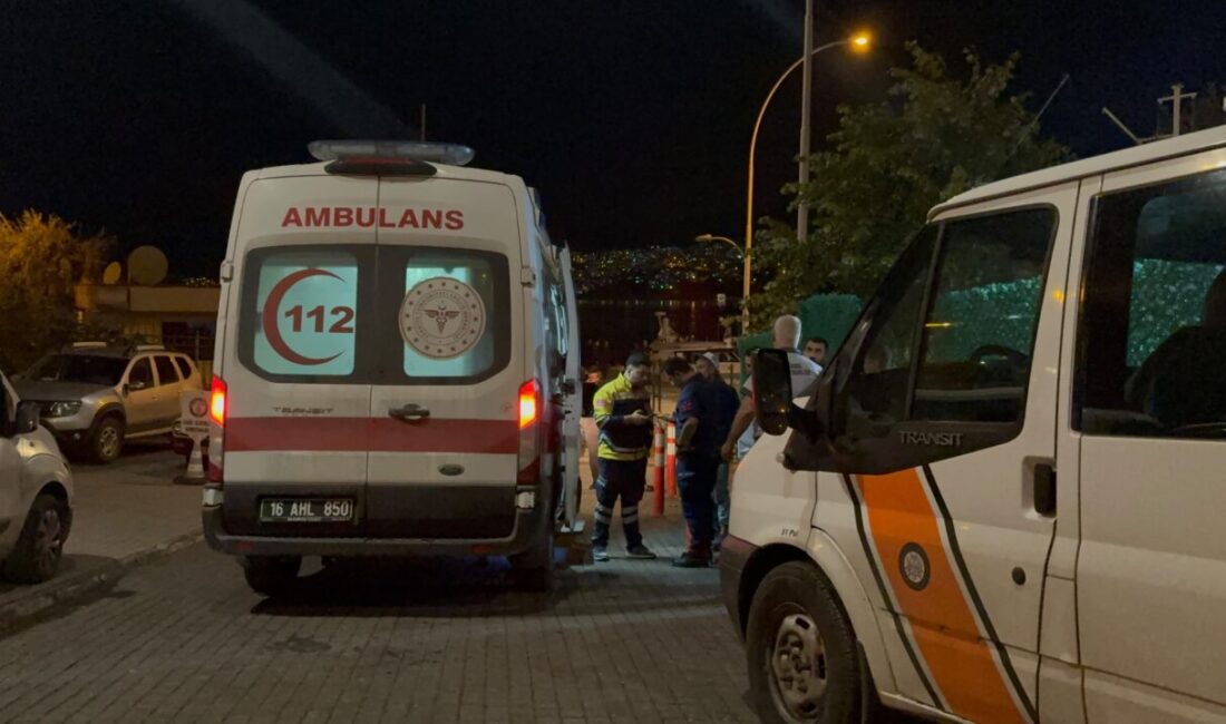 Bursa’nın Gemlik ilçesinde üniversite kampüsü içerisindeki iskeleden denize düşen üniversite