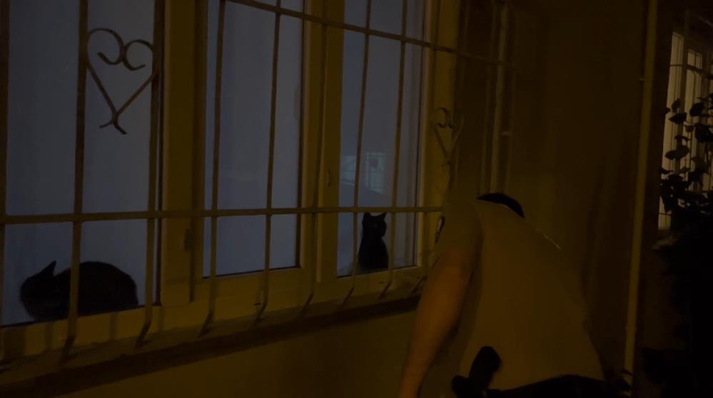 Gece uykuları kaçtı, çocukların üzerine saksı atıldı! Mahalleli çözüm bekliyor 1 Bülten Medya -