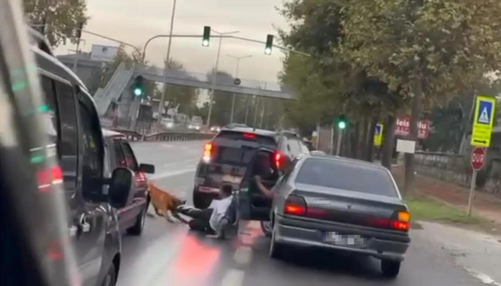 Sakarya’nın Adapazarı ilçesinde zinciri kopan bir köpek, yolda yürüyen K.K.