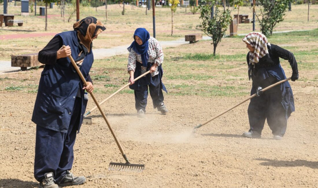 Soğanlı’da parkın çehresi değişiyor! Osmangazi Belediyesi, Soğanlı Millet Parkı’nda başlattığı çimleme çalışmalarıyla yeşil alanın