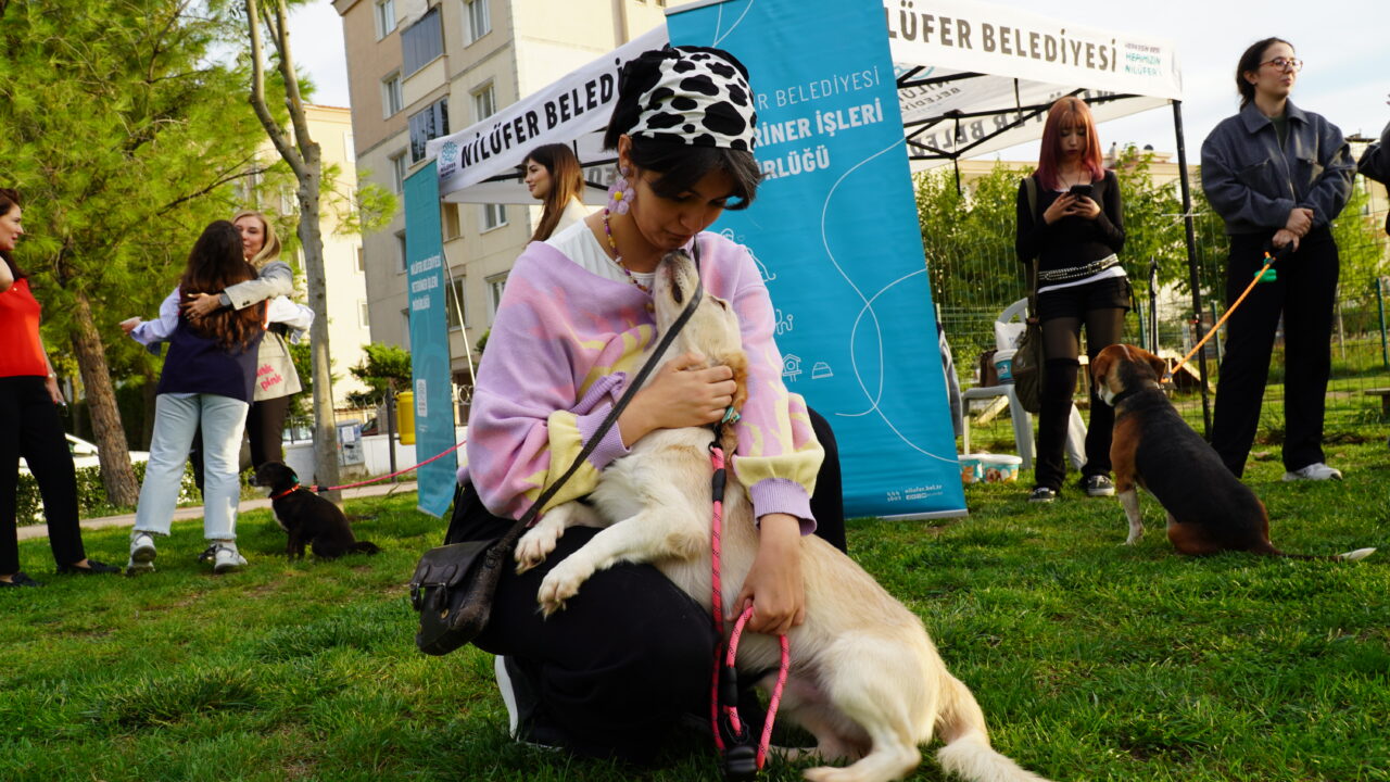 Nilüfer'de dikkat çeken etkinlik! Bu patiler yuva arıyor! 4 Bülten Medya -