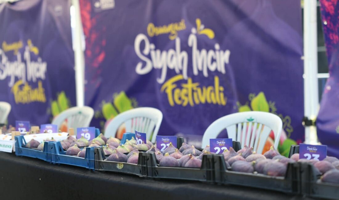 Siyah incirde üreticinin emeği ödüllendi! Osmangazi Belediyesi’nin bu yıl 25’incisini düzenlediği Osmangazi Siyah İncir Festivali,