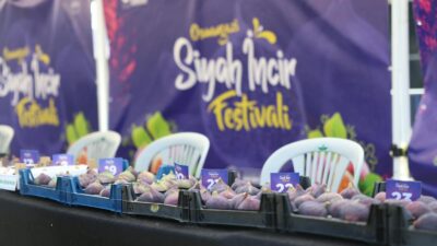 Osmangazi Belediyesi’nin bu yıl 25’incisini düzenlediği Osmangazi Siyah İncir Festivali,