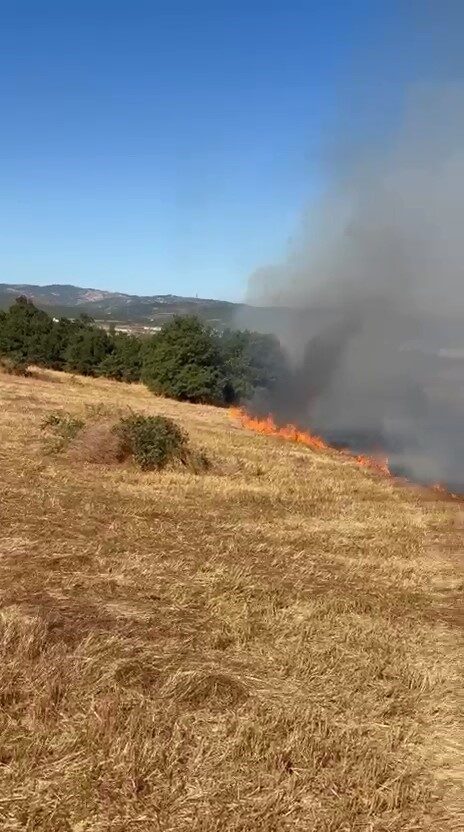 Bülten Medya -