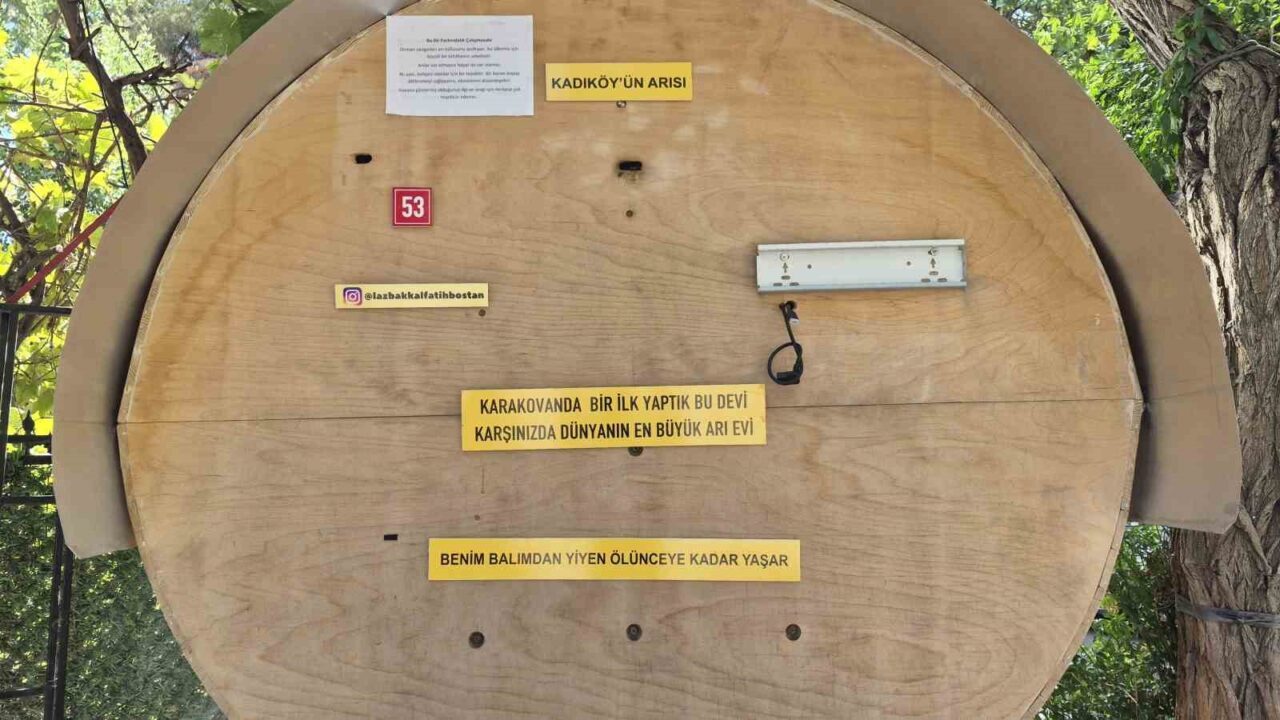 Bülten Medya -