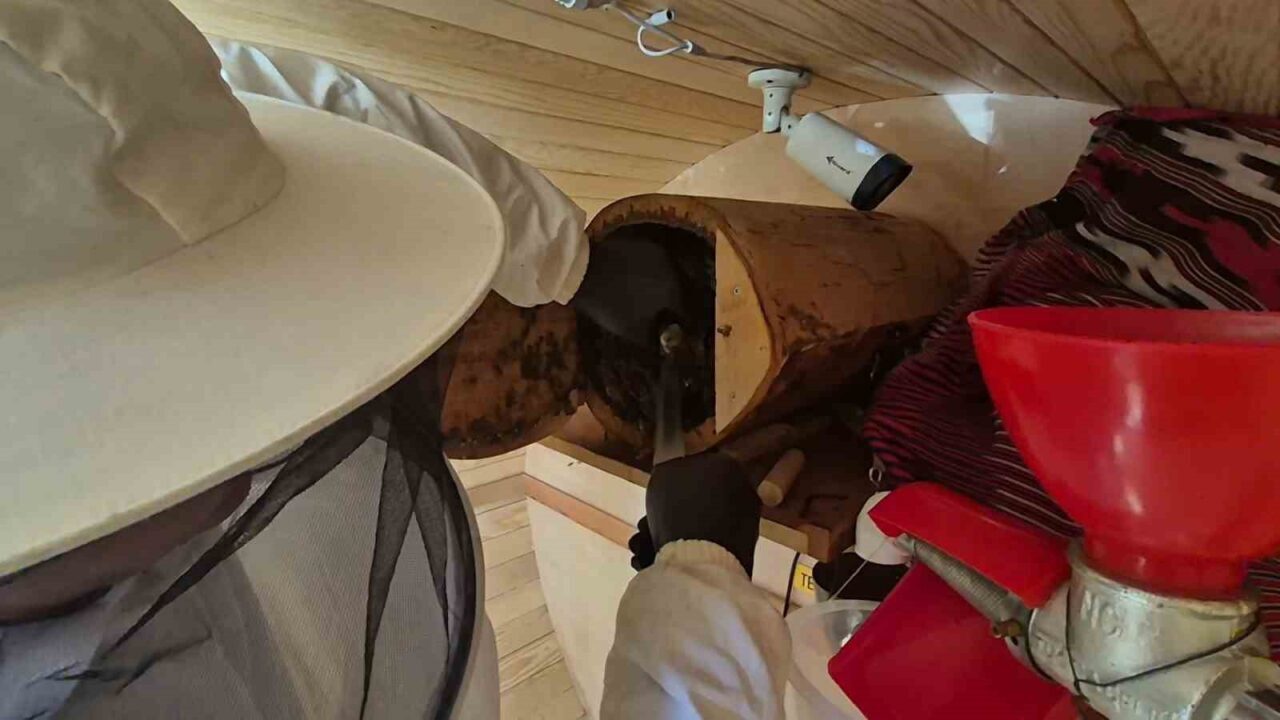 Bülten Medya -